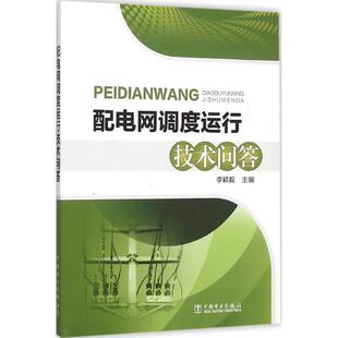 李颖毅配电网调度运行技术问答（正版旧书包邮）中国电力出版社9787512380769