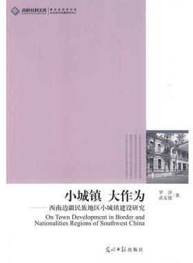 罗淳,武友德　著小城镇大作为--西南边疆民族地区小城镇建设研究（正版旧书包邮）光明日报出版社9787511203632
