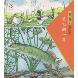旧书 斯图尔特 文 Stewart 绘图 正版 包邮 一年 David 译青蛙 文周周 社9787534495496 江苏凤凰美术出版 博金 英