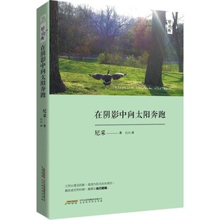 在阴影中向太阳奔跑 经典 正版 旧书 北京时代华文书局9787569901313 尼采 包邮 六六轻