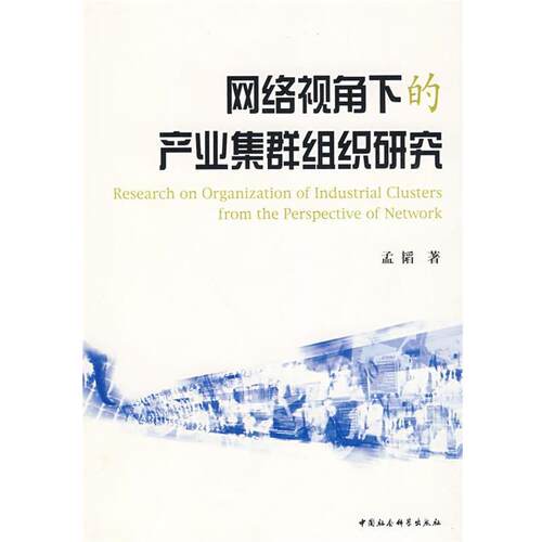 孟韬　著网络视角下的产业集群组织研究（正版旧书包邮）中国社会