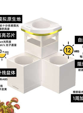 捕蝇草专用盆含补光灯 LeGrow 桌面白方盆食虫植物茅膏菜多肉植物