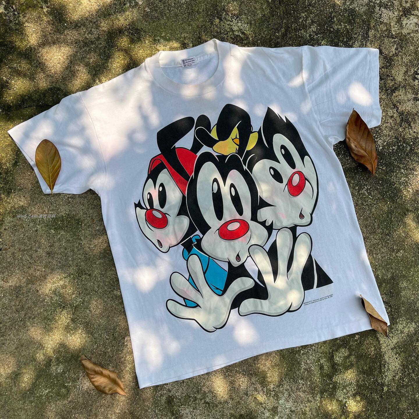 WHOCARE复古大百科Animaniacs