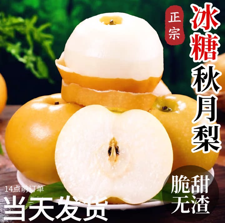 山东秋月梨5斤现摘礼盒
