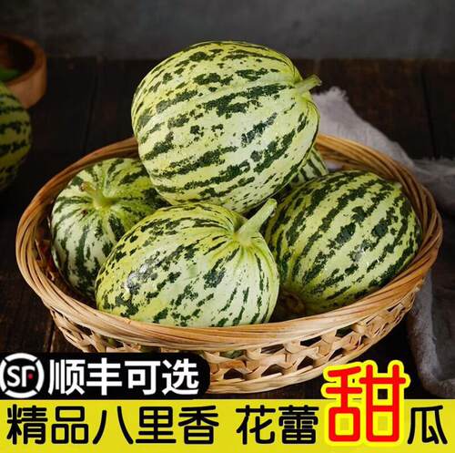 【直播专享】辽宁花美人甜瓜新鲜水果应当季香瓜甜瓜脆甜香甜多汁
