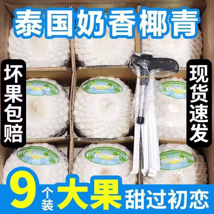 泰国香水椰青香甜椰子整件包邮新鲜水果椰子椰青纯天然当季新鲜