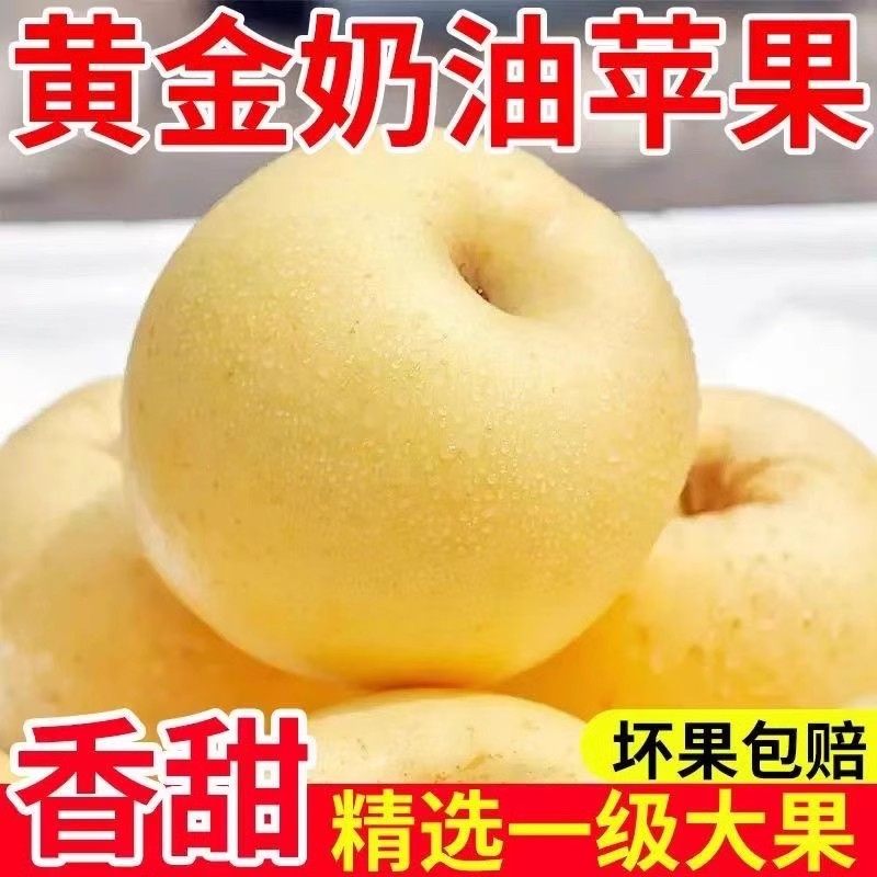 顺丰山东烟台栖霞酸甜黄金奶油富士苹果当季新鲜水果现摘自然成熟,水产肉类/新鲜蔬果/熟食,苹果,淘宝优惠券,粉丝福利购,淘宝优惠卷