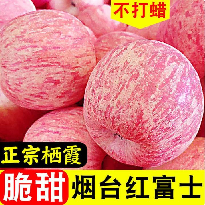 山东烟台红富士现摘脆甜多汁苹果