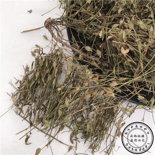乌龙草蝇 丁葵草 二叶HHE人草 苍蝇翼 乌翼草 字丁贵草5 00克3斤