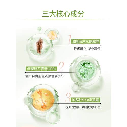 LAC利维法松树皮提取HMW物片低原花青国素阻糖提亮白1聚75喜*2新