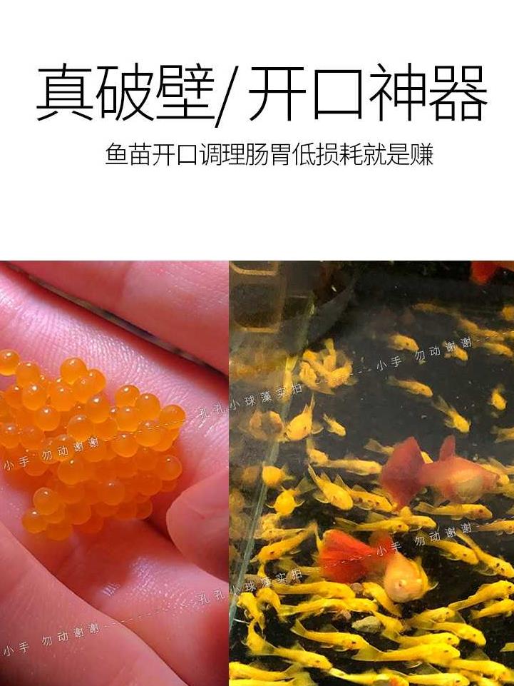 小球藻鱼食藻片胡子大帆异形鱼饲料底栖虾粮熊猫迷宫鼠鱼苗开口粮 宠物/宠物食品及用品 观赏鱼饲料 原图主图