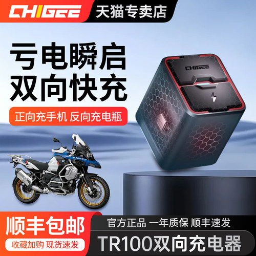 骑技TR100摩托车电瓶充电器100W