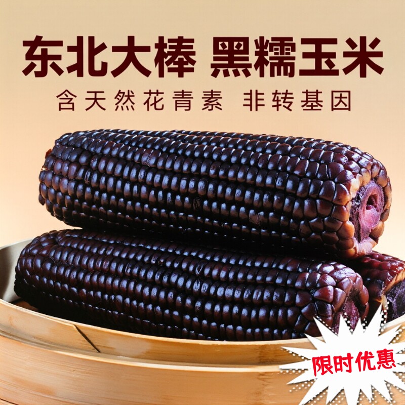 东北黑糯玉米真空装非转基因黑玉米棒糯香黏粘玉米富含花青素代餐
