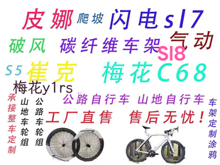 皮娜马东闪电蚕蛹大鹅超6梅花碟刹碳纤维公路车架破风气动车架