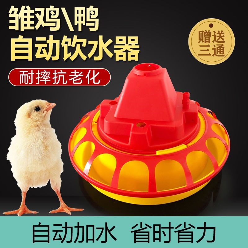 速发雏鸡自动饮水壶小号普拉松饮水器家禽用饮水吊杯小鸡自动喂水