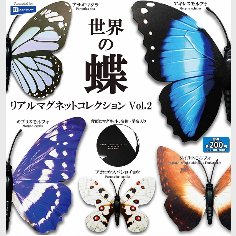 日本RAINBOW世界蝴蝶标本第2弹扭蛋 微缩昆虫冰箱贴,模玩/动漫/周边/娃圈三坑/桌游,盒蛋/扭蛋/联名摆件,淘宝优惠券,粉丝福利购,淘宝优惠卷
