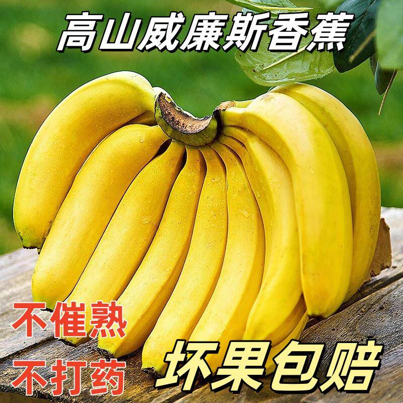 广西威廉斯香蕉应季新鲜水果自然熟软糯香甜大香蕉banana非小米蕉,水产肉类/新鲜蔬果/熟食,香蕉,淘宝优惠券,粉丝福利购,淘宝优惠卷