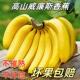 广西威廉斯香蕉应季 新鲜水果自然熟软糯香甜大香蕉banana非小米蕉