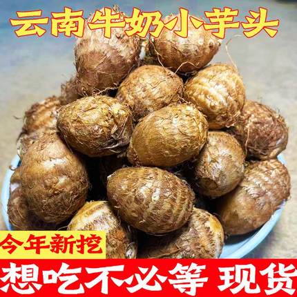 芋头云南新鲜毛芋头正宗小奶芋头整箱软糯香甜香芋头牛奶小芋头仔
