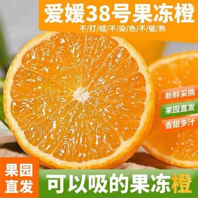 爱媛38号果冻橙新鲜橙子水果当季整箱现摘甜柑橘手剥包邮现发