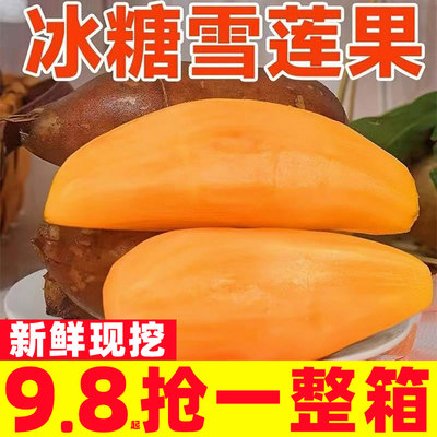 正宗云南天山雪莲果新鲜水果当季时令脆甜多汁孕妇水果一整箱包邮