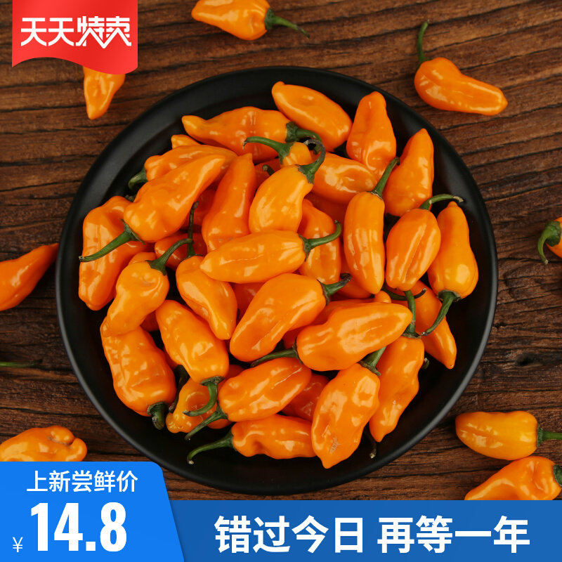 永安黄椒新鲜魔鬼辣椒特辣灯笼椒超辣变态辣泡椒彩椒福建产地直发怎么样,好用不?
