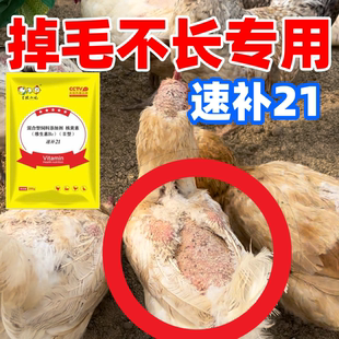 速补21鸡掉毛啄羽吃鸡蛋营养药鸡长肉产蛋鸡鸭多维补钙小鸡高成活
