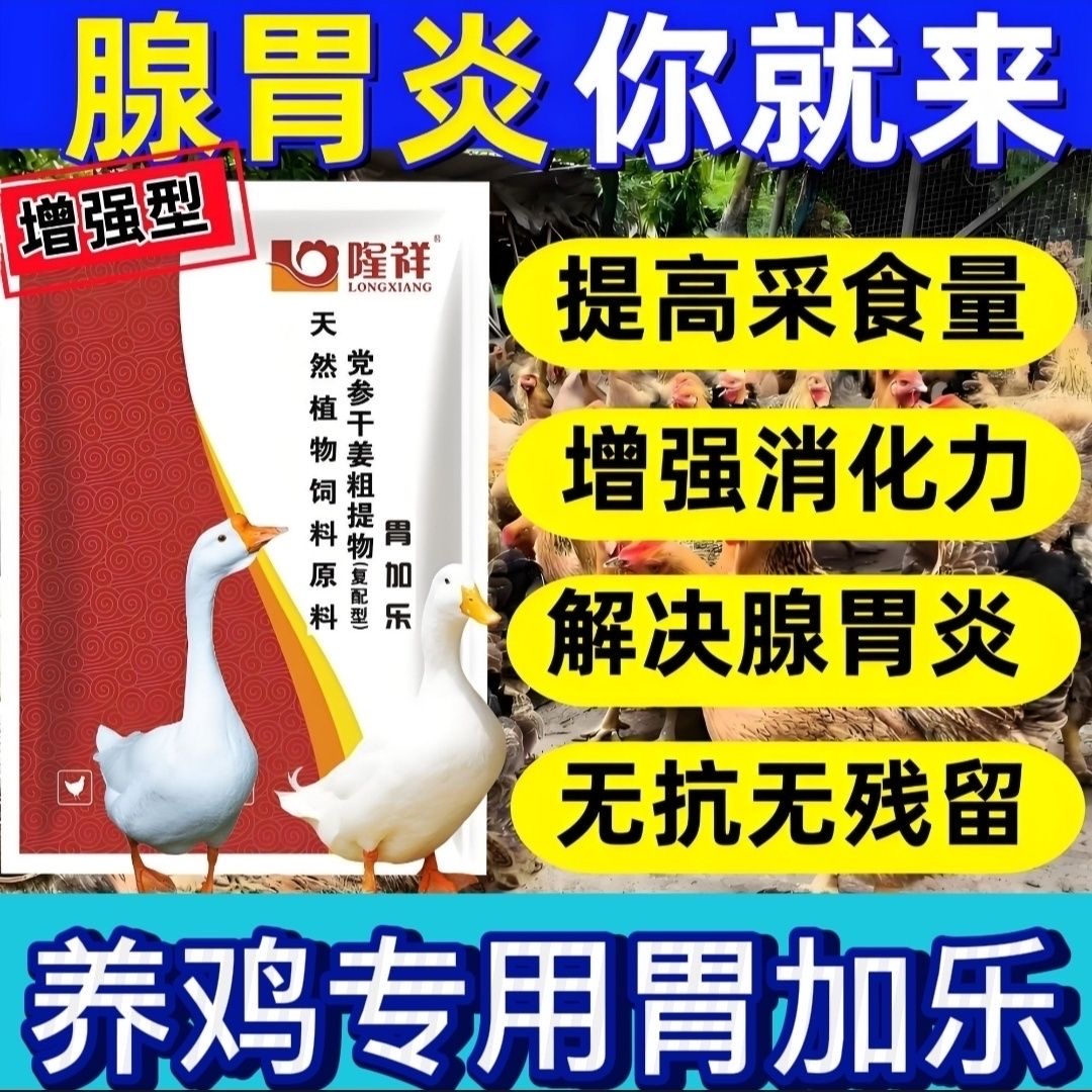胃加乐隆祥嗉囊肿胀不消化吐口水
