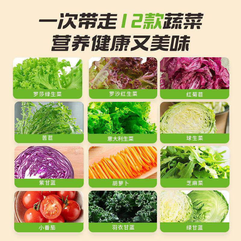 正宗即食12种混合新鲜蔬菜沙拉碗轻食代餐0脂油醋汁色拉