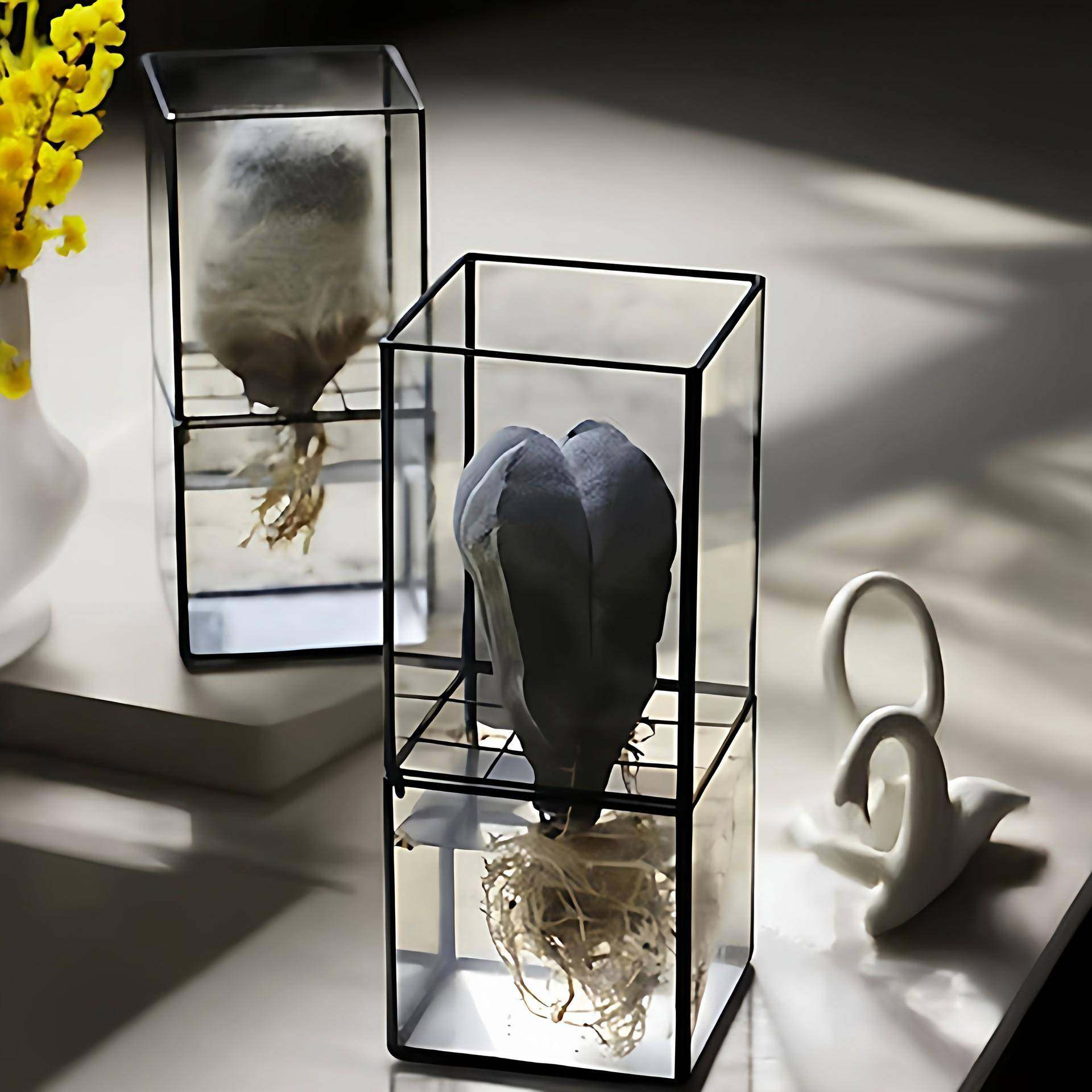 复古玻璃新创意多肉花盆摆设 品 水培 玻璃花盆 创意花瓶工艺,家居饰品,花盆,淘宝优惠券,粉丝福利购,淘宝优惠卷