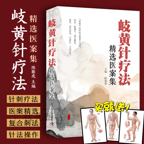 岐黄针疗法精选医案集 陆振虎 中医针灸经典名医名方 岐黄针医案精选中医针灸岐黄针疗法操作规范 黄帝内经针刺疗法灵枢九针从师录