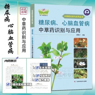 糖尿病、心脑血管病中草药识别与应用 认识中药 了解草药习性作用 高血糖、心梗脑梗中医医学书籍（中国-东盟传统医药文库）