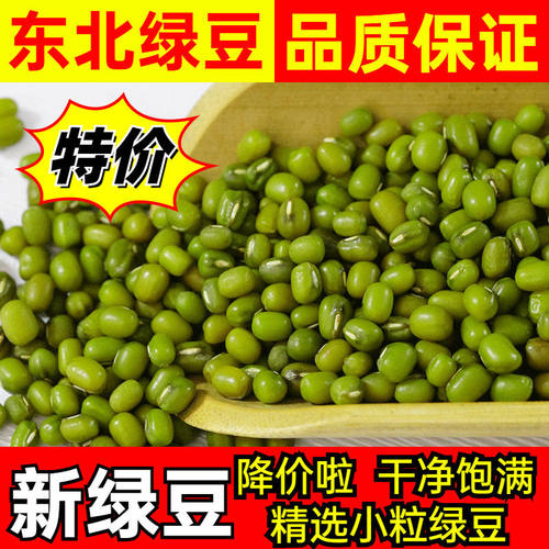 新鲜绿豆5斤东北薄皮绿豆易出沙