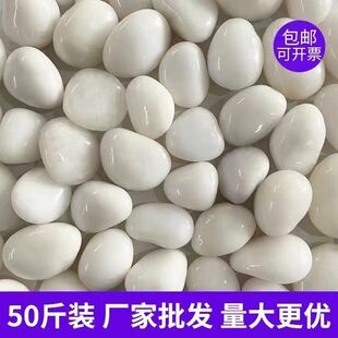 天然抛光白色鹅卵石庭院花园铺路铺地装饰石头户外阳台造景雨花石