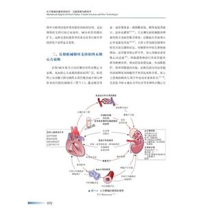 心力衰竭机械支持治疗：当前策略与新技术(美)贾姆希德·H.卡里莫夫,(美)深町清孝,(美)兰德尔·C.斯塔林中国科学技术出版社