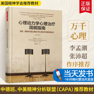 万千心理 心理动力学心理治疗简明指南 短程 间断和长程心理动力学心理治疗的原则和技术 第三版 精神分析性心理治疗 心理疾病治疗
