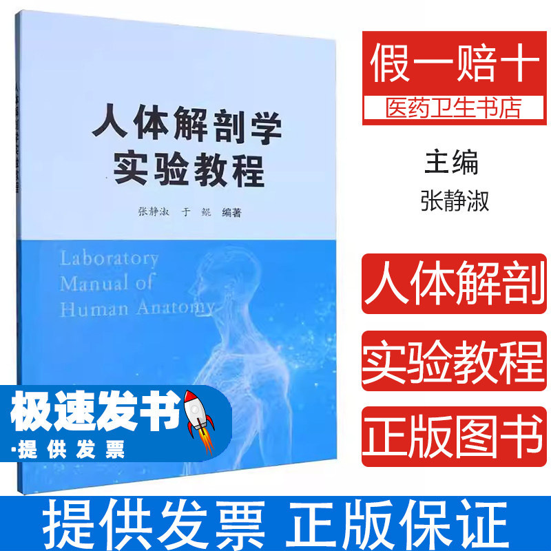 人体解剖学实验教程张静淑于鲲东北大学医学卫生基础医学解剖标本观察解剖模型触摸形态知识理解临床医学课程必修实验医学专业学习