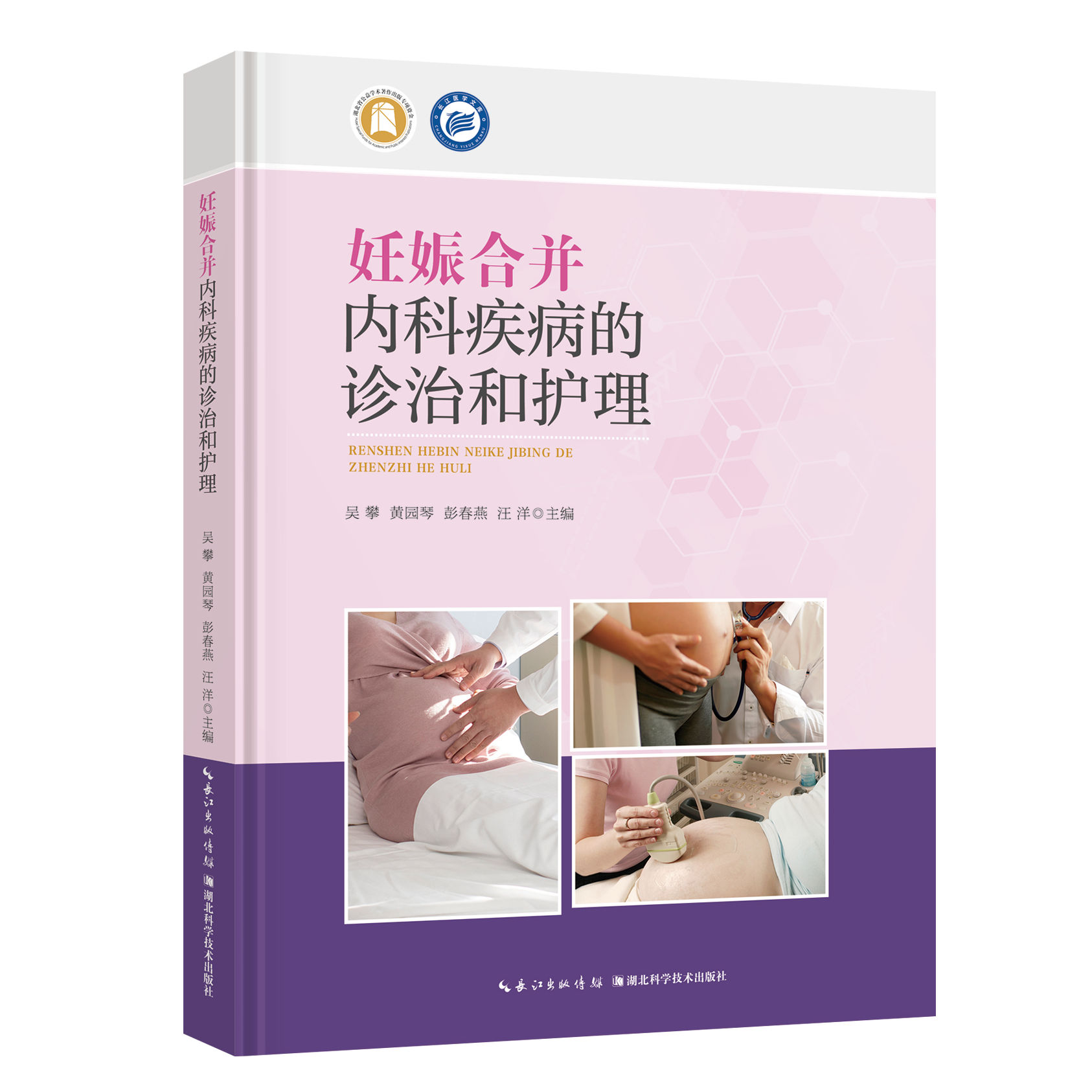 妊娠合并内科疾病的诊治和护理吴攀黄园琴彭春燕汪洋湖北科学技术出版社妊娠合并症产科内科高危妊娠妇产科护理学临床医学