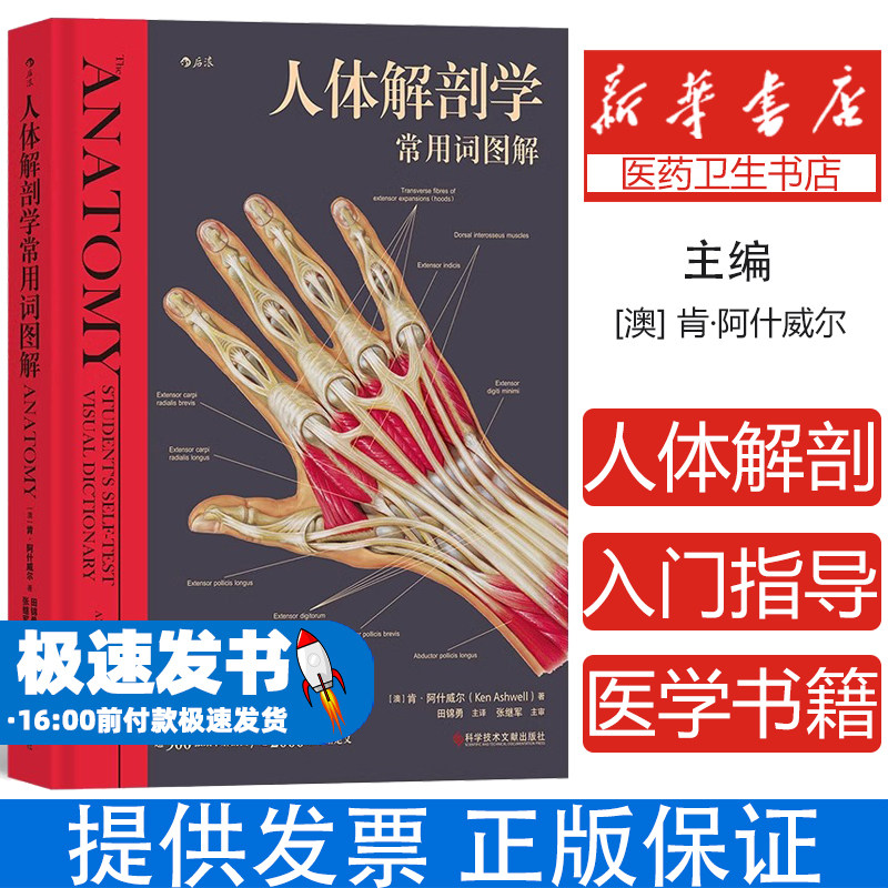 人体解破学常用词图解(澳)肯·阿什威尔著;田锦勇主译;张继军主审科学技术文献9787518989010医学卫生/外科学