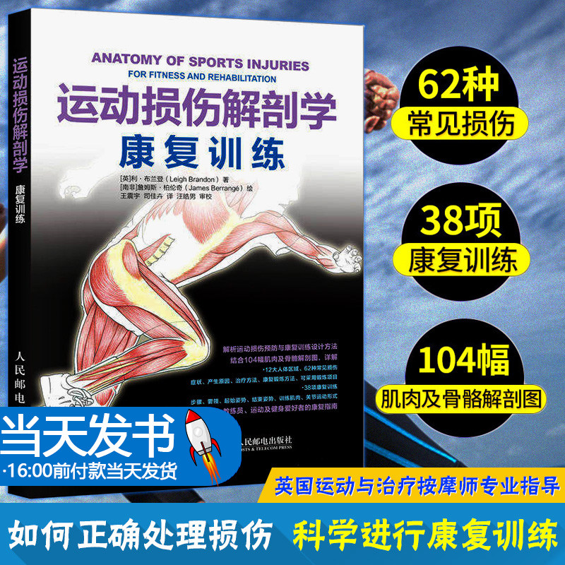 运动损伤解剖学康复训练运动解剖学康复书健身 运动解剖体能训练精准拉伸运动解剖书解剖图解 运动解剖学康复书健身拉伸与力量训练