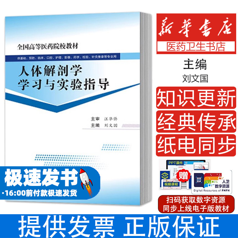 人体解剖学学习与实验指导刘文国电子工业出版社9787121391415医学卫生/基础医学