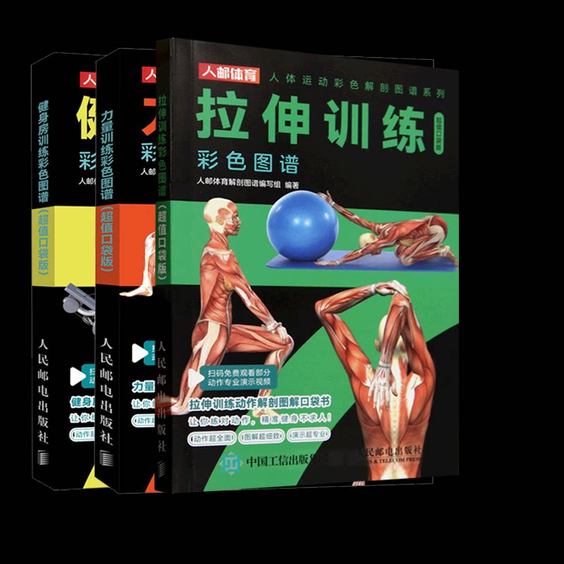 全 3 册健身房训练 + 力量训练 + 拉伸训练彩色图谱人邮体育编写组编人民邮电出版社健身动作图解健身爱好者专业实用工具书