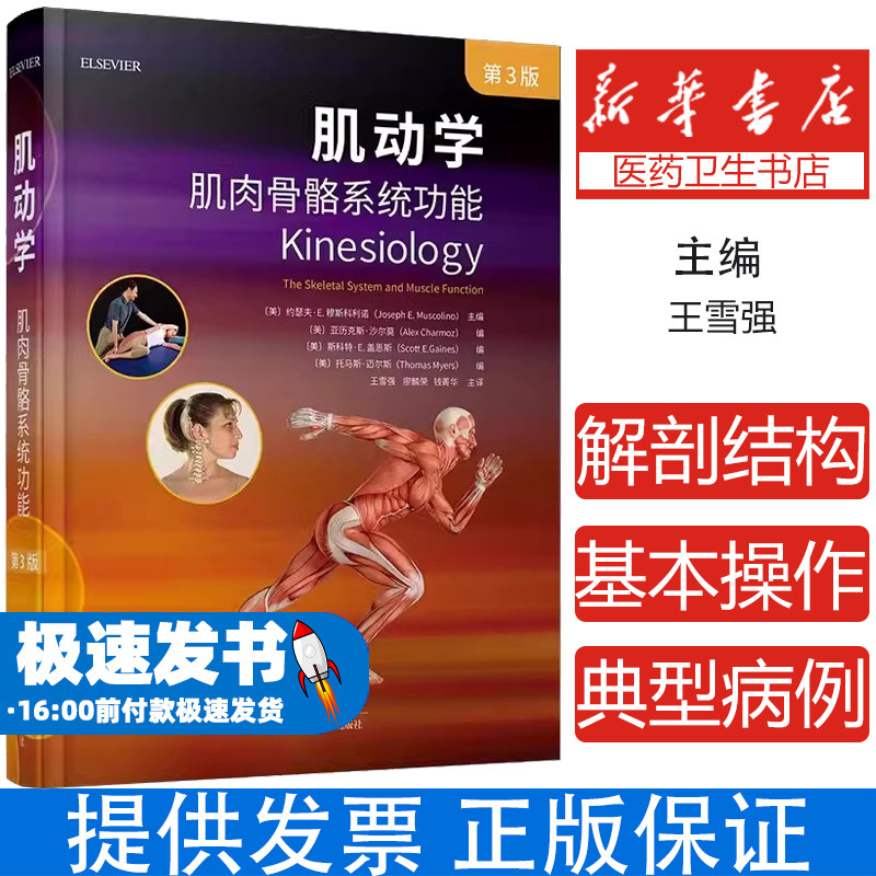 正版包邮 肌动学 肌肉骨骼系统功能 第3版三版 约瑟夫 穆斯科利诺 物理治疗师私人教练工具书 骨学骨关节学肌学 9787572510052