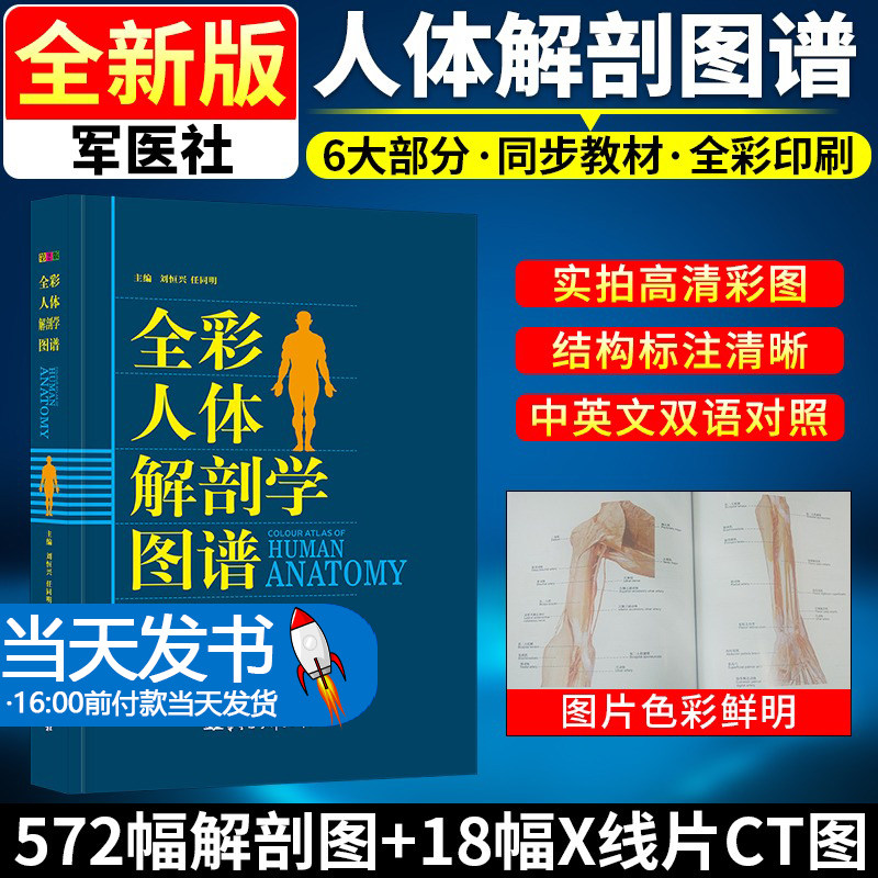 人体全书教材奈特医学人体解刨