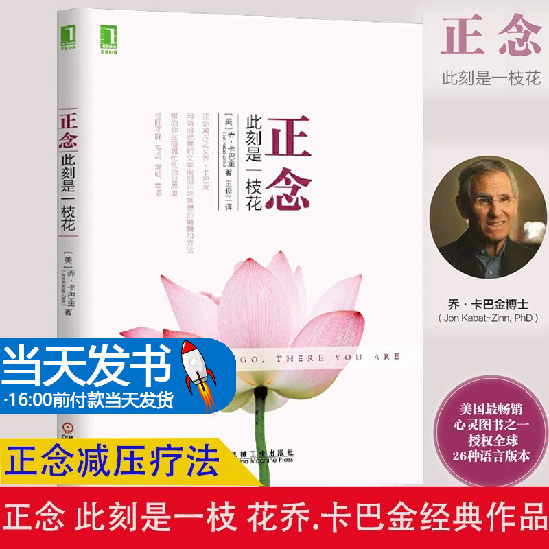 正念 此刻是一枝花 正念减压之父乔·卡巴金代表作 阐明正念冥想的精髓和方法 找回平静、专注、清明、幸福 正版书籍