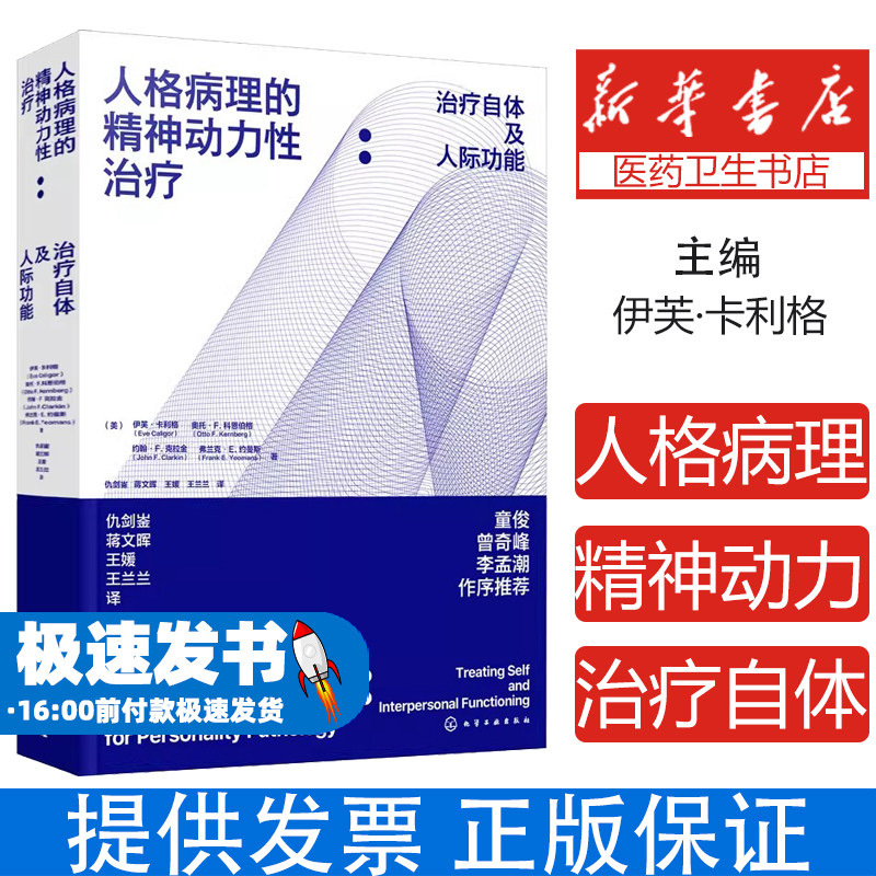 人格病理精神动力性治疗自体人际功能伊芙卡利格心理治疗临床心理学精神分析客体关系治疗师指南创伤治疗人格障碍心理学专业书籍