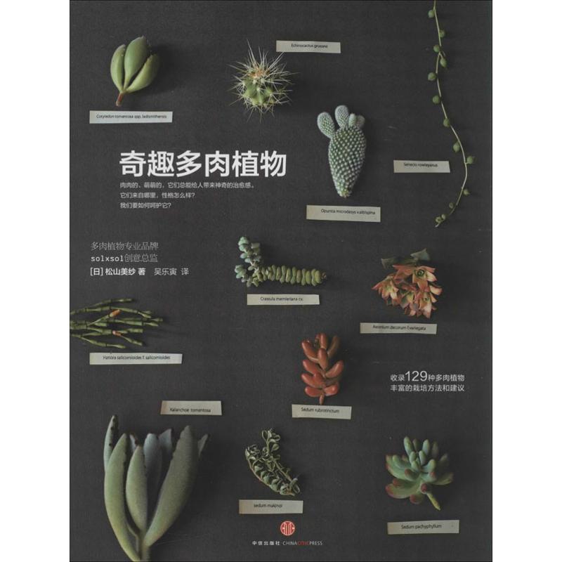 奇趣多肉植物松山美纱吴乐寅中信出版社多肉种植入门养护技巧新手四季养花零基础教程植物盆栽园艺实用栽培方法多肉爱好者案头参考
