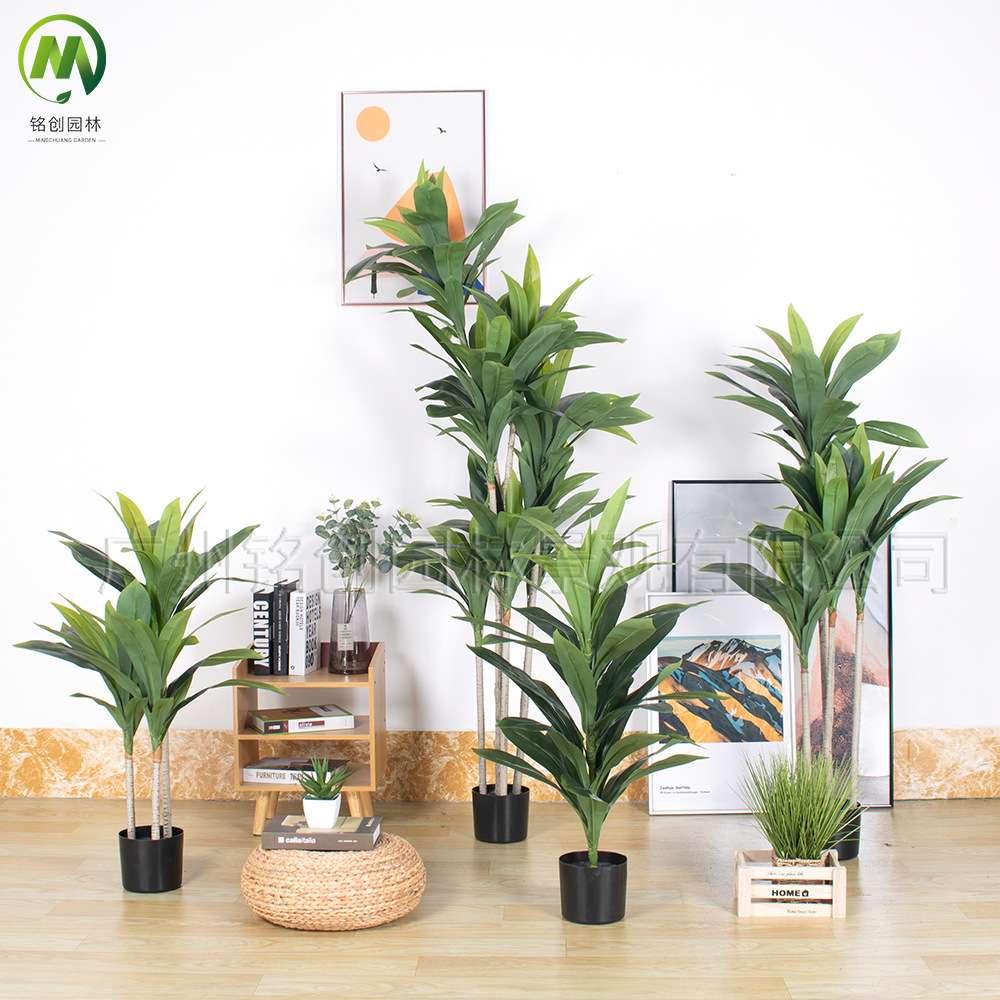 大型落地仿真绿植红铁树巴西木盘栽 室内摆设仿真植物黄边巴西铁