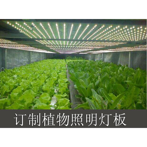 植物补光灯LED植物补光灯led植物生长灯各种植物补光灯