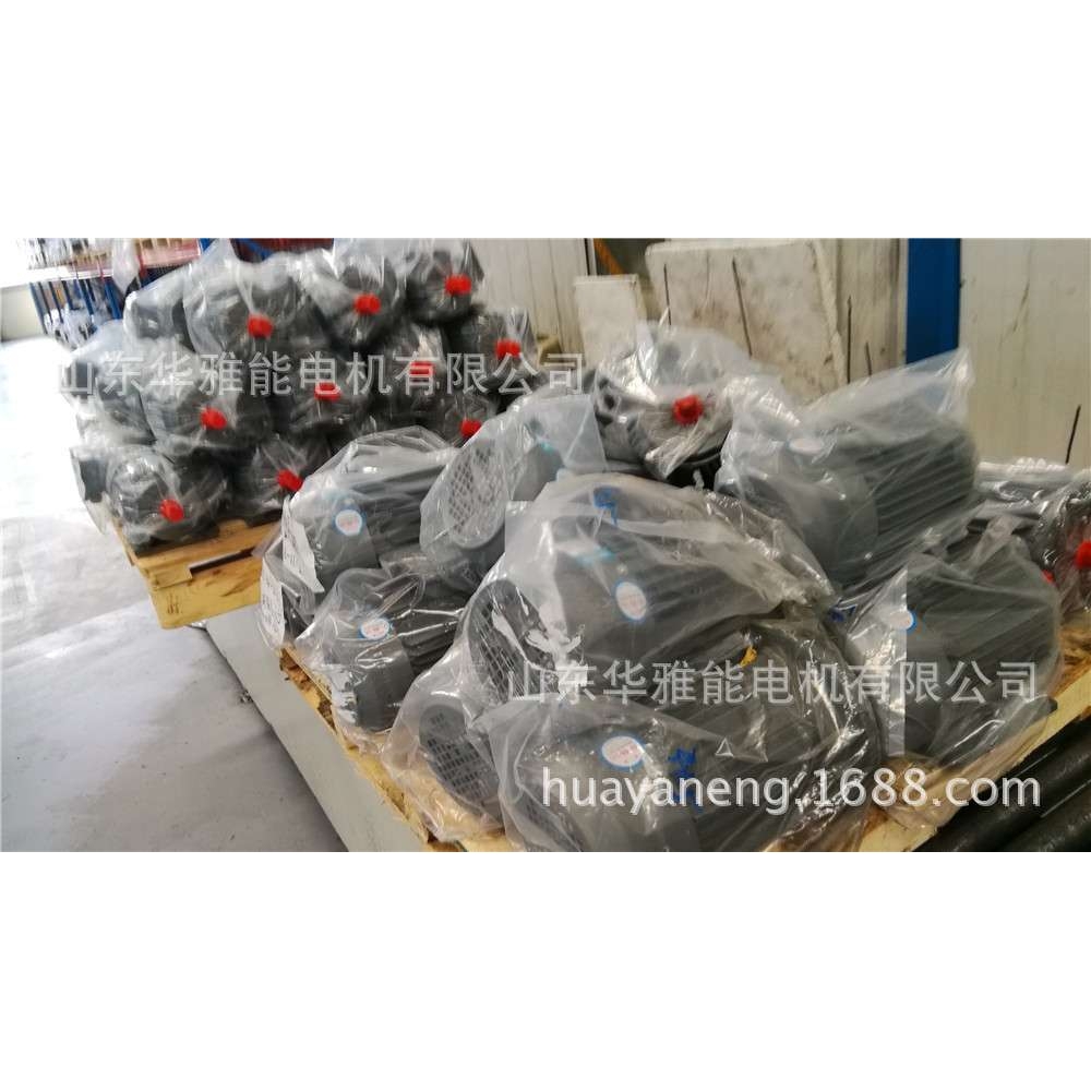 泰富西玛文宝电动机端盖YL/YC132M-8-3电机失电制动以防锈蚀损伤